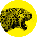 Logo de Locarno Film Festival
